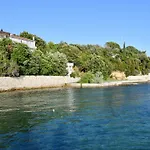 Krstas- Gonar