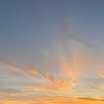 Krstas- Gonar