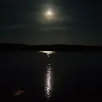 Krstas- Gonar