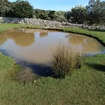 Krstas- Gonar