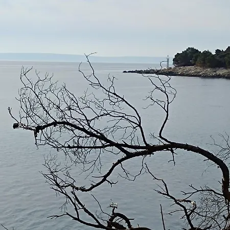 Krstas- Gonar * Supetarska Draga