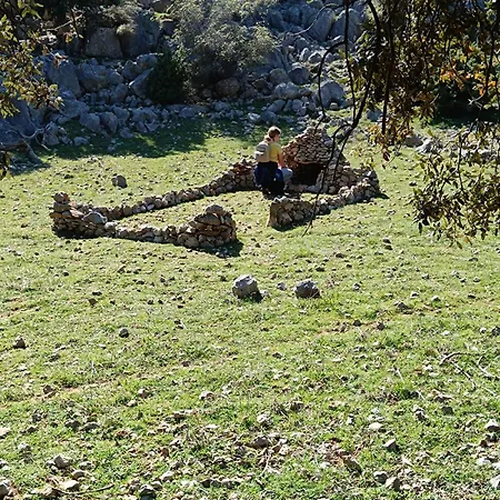 Krstas- Gonar
