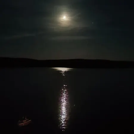 Krstas- Gonar