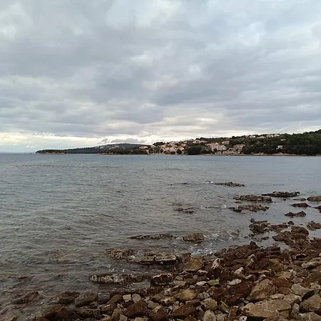 Krstas- Gonar