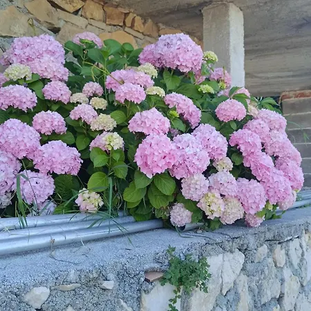 Apartment Krstas- Gonar