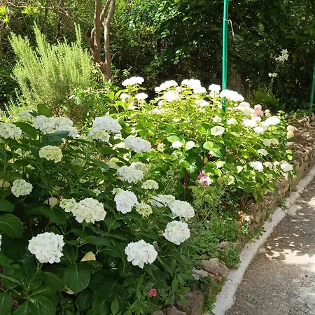 Krstas- Gonar Apartment *